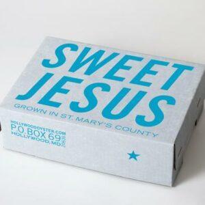 Sweet Jesus Oysters - 50 Count