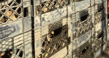 Hollywood Oyster Harvest Crates