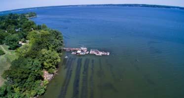 Hollywood Oyster Farm