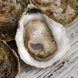 Sweet Jesus Oysters